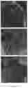 Fig. 09 - TWO-DIMENSIONAL ARRAYS OF TRANSITION METAL NITRIDE NANOCRYSTALS