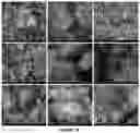 Fig. 10 - Nanomaterials, nanocomposite materials, and methods thereof