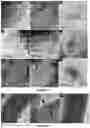 Fig. 11 - Nanomaterials, nanocomposite materials, and methods thereof