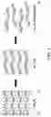Fig. 02 - Layered compound and nanosheet containing indium and phosphorus, and electrical device using the same