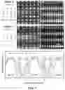 Fig. 07 - Layered GaN and GaN nanosheet, and electrical device using the same