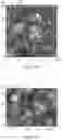 Fig. 22 - Textured glass articles and methods of making same