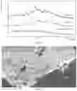 Fig. 15 - CRYSTAL FORMS OF AMINO LIPIDS