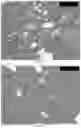 Fig. 29 - CRYSTAL FORMS OF AMINO LIPIDS