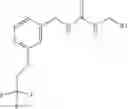 Fig. 02 - KCNQ potentiators