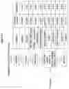 Fig. 23 - Processes for the preparation of (3S,4R)-3-ethyl-4-(3H-imidazo[1,2-a]pyrrolo[2,3-e]-pyrazin-8-yl)-N-(2,2,2-trifluoroethyl)pyrrolidine-1-carboxamide and solid state forms thereof