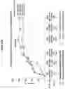 Fig. 30 - Processes for the preparation of (3S,4R)-3-ethyl-4-(3H-imidazo[1,2-a]pyrrolo[2,3-e]-pyrazin-8-yl)-N-(2,2,2-trifluoroethyl)pyrrolidine-1-carboxamide and solid state forms thereof