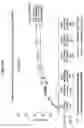 Fig. 33 - Processes for the preparation of (3S,4R)-3-ethyl-4-(3H-imidazo[1,2-a]pyrrolo[2,3-e]-pyrazin-8-yl)-N-(2,2,2-trifluoroethyl)pyrrolidine-1-carboxamide and solid state forms thereof