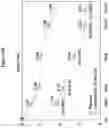 Fig. 40 - Processes for the preparation of (3S,4R)-3-ethyl-4-(3H-imidazo[1,2-a]pyrrolo[2,3-e]-pyrazin-8-yl)-N-(2,2,2-trifluoroethyl)pyrrolidine-1-carboxamide and solid state forms thereof