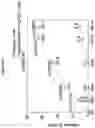 Fig. 48 - Processes for the preparation of (3S,4R)-3-ethyl-4-(3H-imidazo[1,2-a]pyrrolo[2,3-e]-pyrazin-8-yl)-N-(2,2,2-trifluoroethyl)pyrrolidine-1-carboxamide and solid state forms thereof