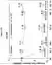 Fig. 49 - Processes for the preparation of (3S,4R)-3-ethyl-4-(3H-imidazo[1,2-a]pyrrolo[2,3-e]-pyrazin-8-yl)-N-(2,2,2-trifluoroethyl)pyrrolidine-1-carboxamide and solid state forms thereof