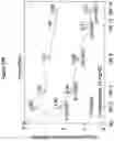 Fig. 50 - Processes for the preparation of (3S,4R)-3-ethyl-4-(3H-imidazo[1,2-a]pyrrolo[2,3-e]-pyrazin-8-yl)-N-(2,2,2-trifluoroethyl)pyrrolidine-1-carboxamide and solid state forms thereof