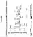 Fig. 69 - Processes for the preparation of (3S,4R)-3-ethyl-4-(3H-imidazo[1,2-a]pyrrolo[2,3-e]-pyrazin-8-yl)-N-(2,2,2-trifluoroethyl)pyrrolidine-1-carboxamide and solid state forms thereof