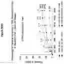 Fig. 72 - Processes for the preparation of (3S,4R)-3-ethyl-4-(3H-imidazo[1,2-a]pyrrolo[2,3-e]-pyrazin-8-yl)-N-(2,2,2-trifluoroethyl)pyrrolidine-1-carboxamide and solid state forms thereof