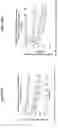 Fig. 80 - Processes for the preparation of (3S,4R)-3-ethyl-4-(3H-imidazo[1,2-a]pyrrolo[2,3-e]-pyrazin-8-yl)-N-(2,2,2-trifluoroethyl)pyrrolidine-1-carboxamide and solid state forms thereof