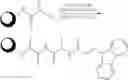 Fig. 20 - REAGENT AND PROCESS FOR THE SITE-SPECIFIC DEOXYFLUORINATION OF PEPTIDES