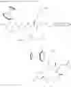 Fig. 28 - REAGENT AND PROCESS FOR THE SITE-SPECIFIC DEOXYFLUORINATION OF PEPTIDES