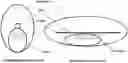 Fig. 01 - Method for extracting high-purity polydeoxyribonucleotide from salmon testes