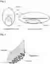 Fig. 02 - Method for extracting high-purity polydeoxyribonucleotide from salmon testes