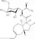 Fig. 137 - Lincosamide antibiotics and uses thereof