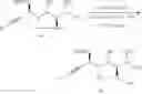 Fig. 255 - Lincosamide antibiotics and uses thereof