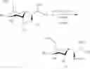 Fig. 262 - Lincosamide antibiotics and uses thereof