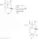 Fig. 293 - Lincosamide antibiotics and uses thereof