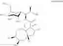 Fig. 294 - Lincosamide antibiotics and uses thereof