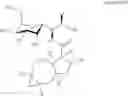 Fig. 299 - Lincosamide antibiotics and uses thereof