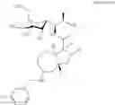 Fig. 320 - Lincosamide antibiotics and uses thereof