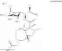 Fig. 331 - Lincosamide antibiotics and uses thereof