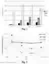 Fig. 02 - PROCESS FOR EXTRACTING PHYCOCYANINS