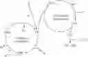 Fig. 01 - CODON-OPTIMISED COMPLEMENT FACTOR I