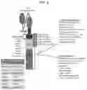 Fig. 06 - CHIMERIC ANTIGEN RECEPTOR MEMORY-LIKE (CARML) NK CELLS AND METHODS OF MAKING AND USING SAME