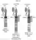 Fig. 07 - CHIMERIC ANTIGEN RECEPTOR MEMORY-LIKE (CARML) NK CELLS AND METHODS OF MAKING AND USING SAME