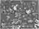 Fig. 01 - CUBIC CYCLODEXTRIN FRAMEWORK-RGD COMPOSITION AND PREPARATION METHOD THEREFOR