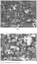 Fig. 02 - CUBIC CYCLODEXTRIN FRAMEWORK-RGD COMPOSITION AND PREPARATION METHOD THEREFOR