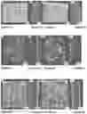 Fig. 07 - NANOCOMPOSITES COMPRISING BIODEGRADABLE POLYMERS AND INORGANIC NANOPARTICLES, METHODS OF PREPARATION AND USES THEREOF
