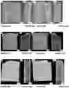 Fig. 08 - NANOCOMPOSITES COMPRISING BIODEGRADABLE POLYMERS AND INORGANIC NANOPARTICLES, METHODS OF PREPARATION AND USES THEREOF