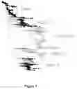 Fig. 02 - Endonuclease 1 ribonucleases for cleaning