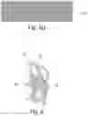 Fig. 08 - Article comprising a knit element