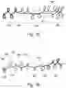 Fig. 32 - Article comprising a knit element