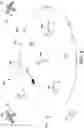 Fig. 05 - Object-gathering apparatus