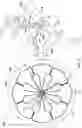 Fig. 04 - Piston crown for a combustion system and an associated method thereof