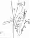 Fig. 02 - Bypass block for unregulated gearboxes