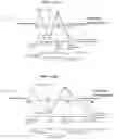 Fig. 22 - Transmission structure and working vehicle