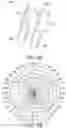 Fig. 07 - Filament lamp with reflector