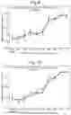 Fig. 08 - Method for the qualitative and quantitative detection of alginate oligomers in body fluids