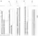 Fig. 03 - DEVICE AND METHOD FOR MEASURING RADON RELEASE AMOUNT DURING ROCK SHEARING DAMAGE PROCESS