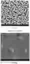 Fig. 04 - Polymer microfilters, devices comprising the same, methods of manufacturing the same, and uses thereof